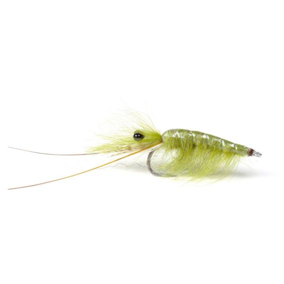 Olive CDC Shrimp #6 in de groep Kunstaas / Vliegen / Streamers bij Sportfiskeprylar.se (101583GL)