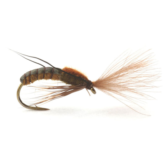 Super Emerging Caddis Brown Olive in de groep Kunstaas / Vliegen / Droge vliegen bij Sportfiskeprylar.se (GL46166r)