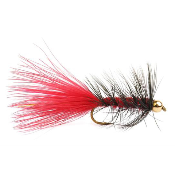 Wolly Bugger Gold Head Red Black size 8 in de groep Kunstaas / Vliegen / Streamers bij Sportfiskeprylar.se (HF1231-8)