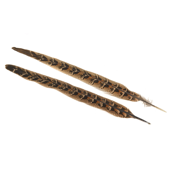 Pheasant Hen Ringneck Centre Tails in de groep Haken & Terminal Tackle / Vliegvis bindmateriaal / Vliegbindmateriaal / Veren & Capes / Hackle bij Sportfiskeprylar.se (V5151)