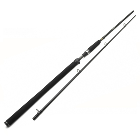 Westin W3 Powercast-T 8\'3\'\'/251cm XXH 40-130g 2pcs Casting in de groep Hengels / Werphengels bij Sportfiskeprylar.se (W303-0832-XXH)