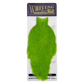 White dyed Fl. Green Chartreuse