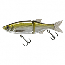 Silver Minnow