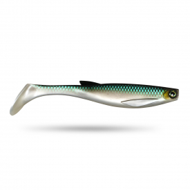 Scout Shad 20cm - Stolen Bleak