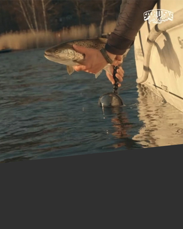 Sportfishtackle.nl – Hengelsportartikelen, kunstaas, hengels, molens en vliegvis