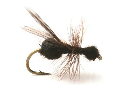 Guideline Flying Ant / Myra Black # 12