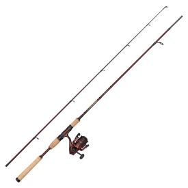 Abu Garcia Tormentor2 Spinning Combo