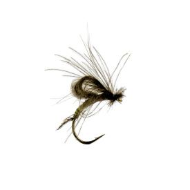 Baetis Emerger Olive Biot