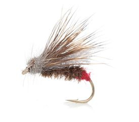 Redtag Caddis - Daiichi