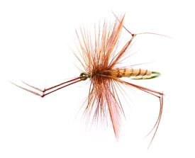 Daddy Long legs Tan/Brown TMC 2302 #12