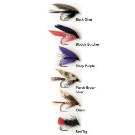 Wet Fly 1 6-pak