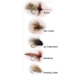 Dry Fly Sedges 5-pak