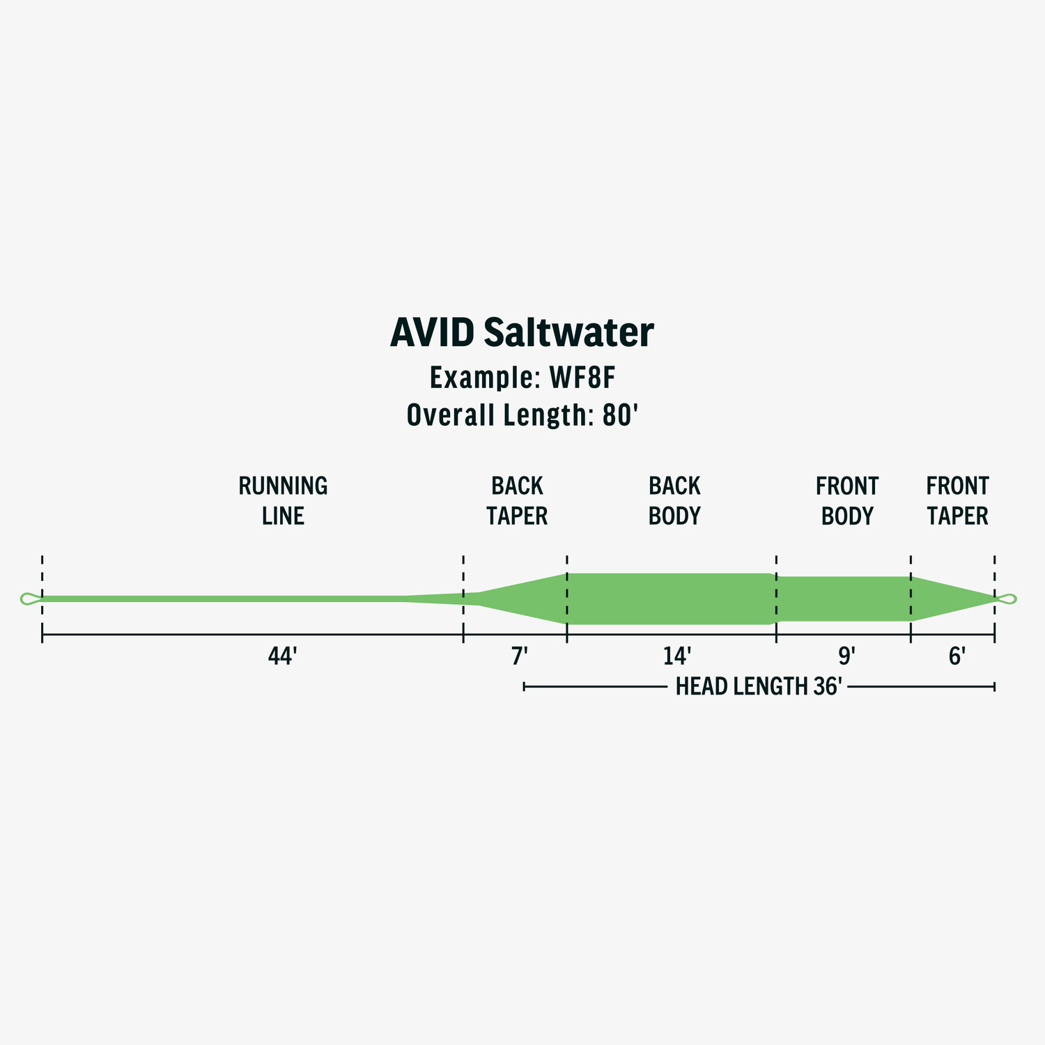 Rio Avid Saltwater Flyt